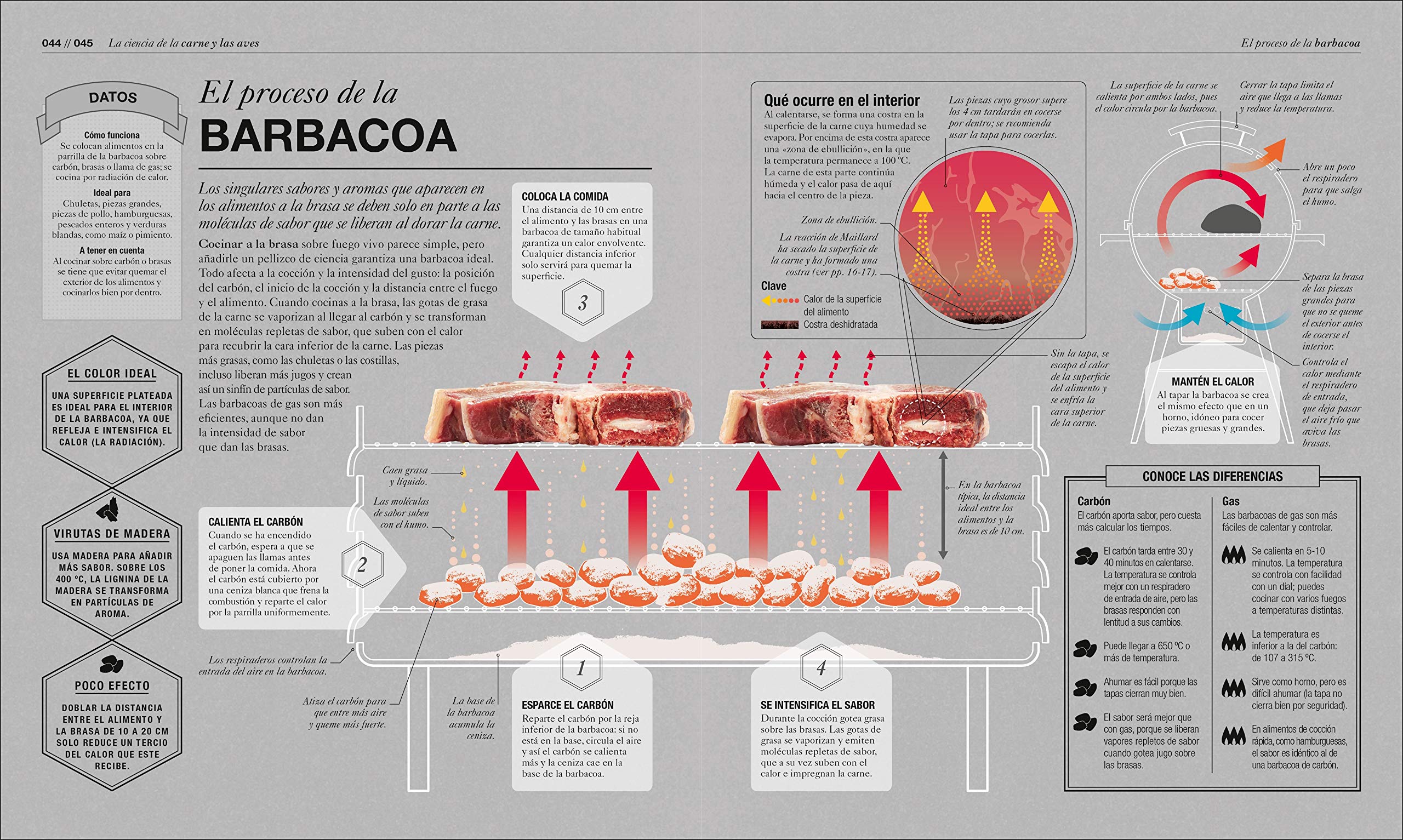 DK Cocinologia: La ciencia de cocinar