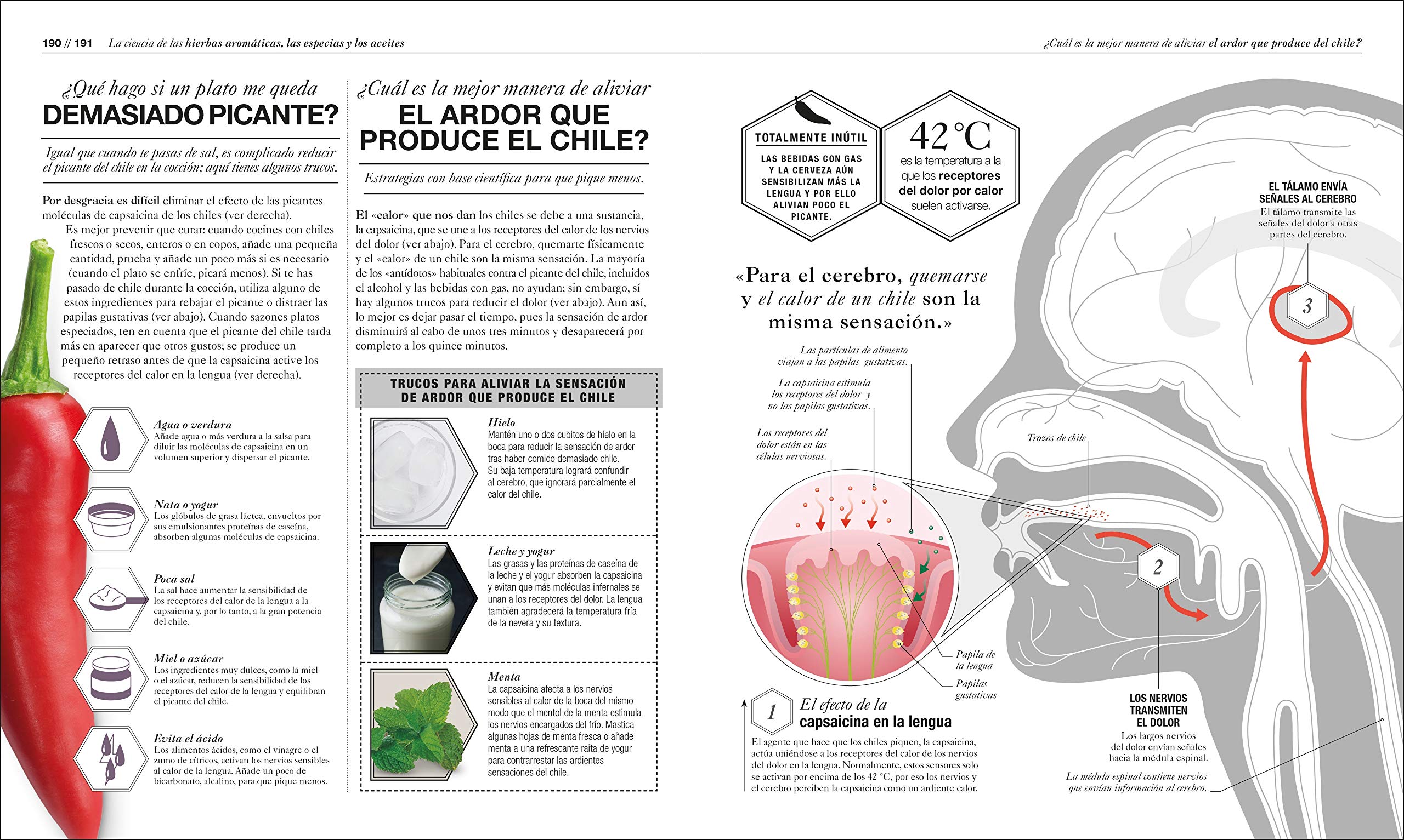 DK Cocinologia: La ciencia de cocinar