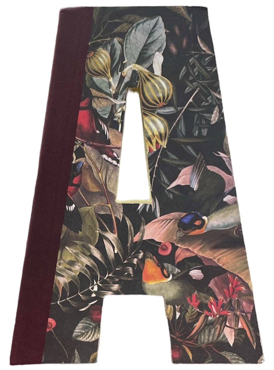 Alphabooks Letter A