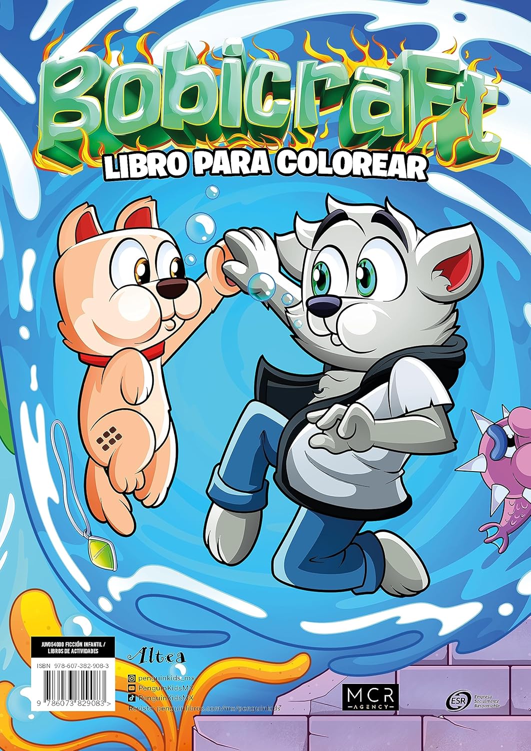 Bobicraft Libro para colorear