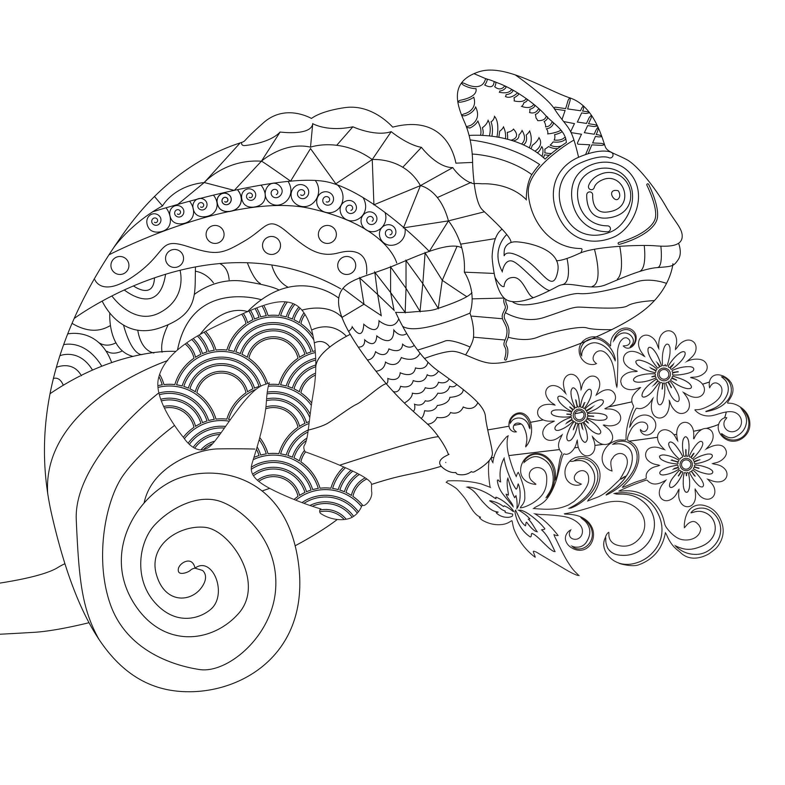 Mandalas de la naturaleza