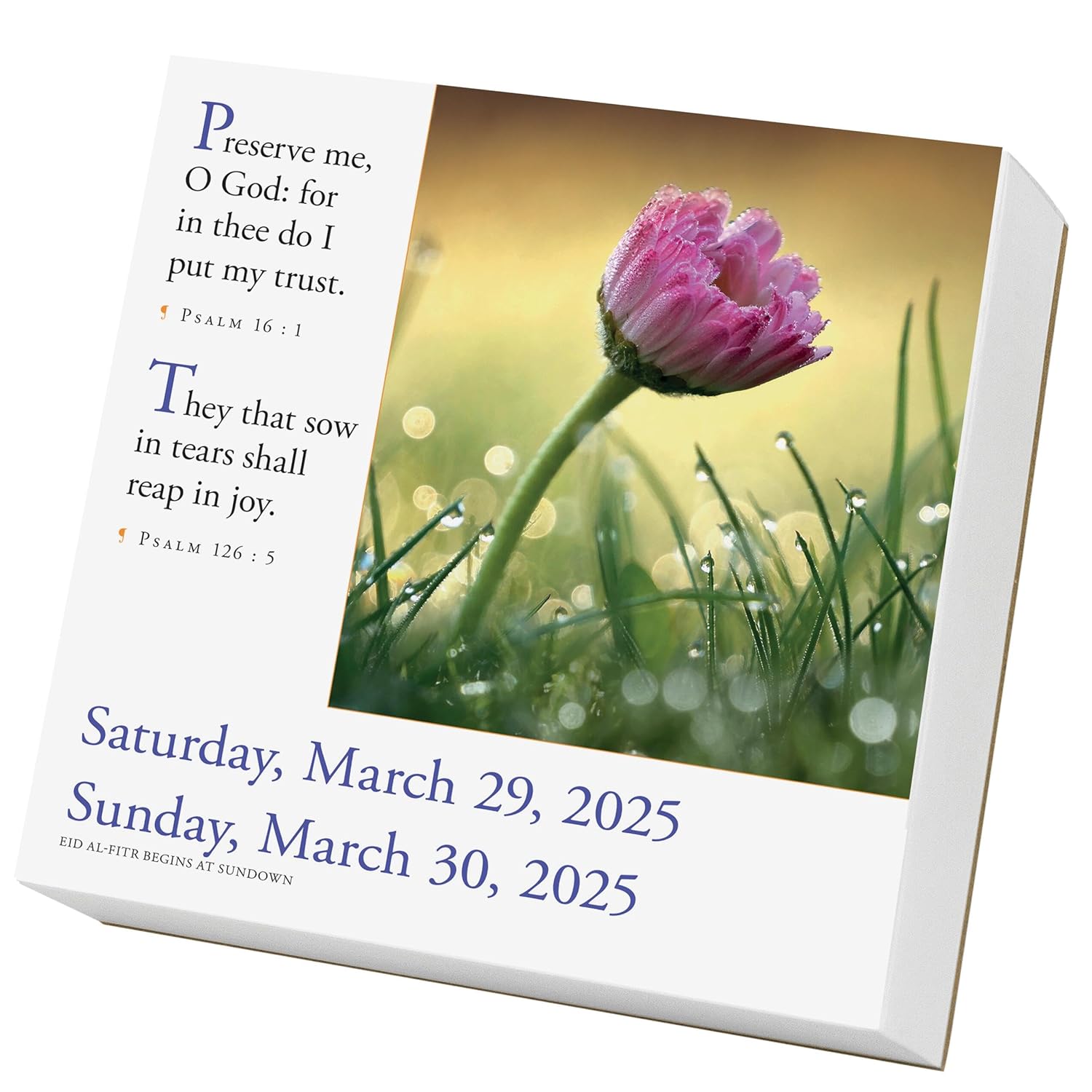 WC 2025 365 Bible Verses-A-Year