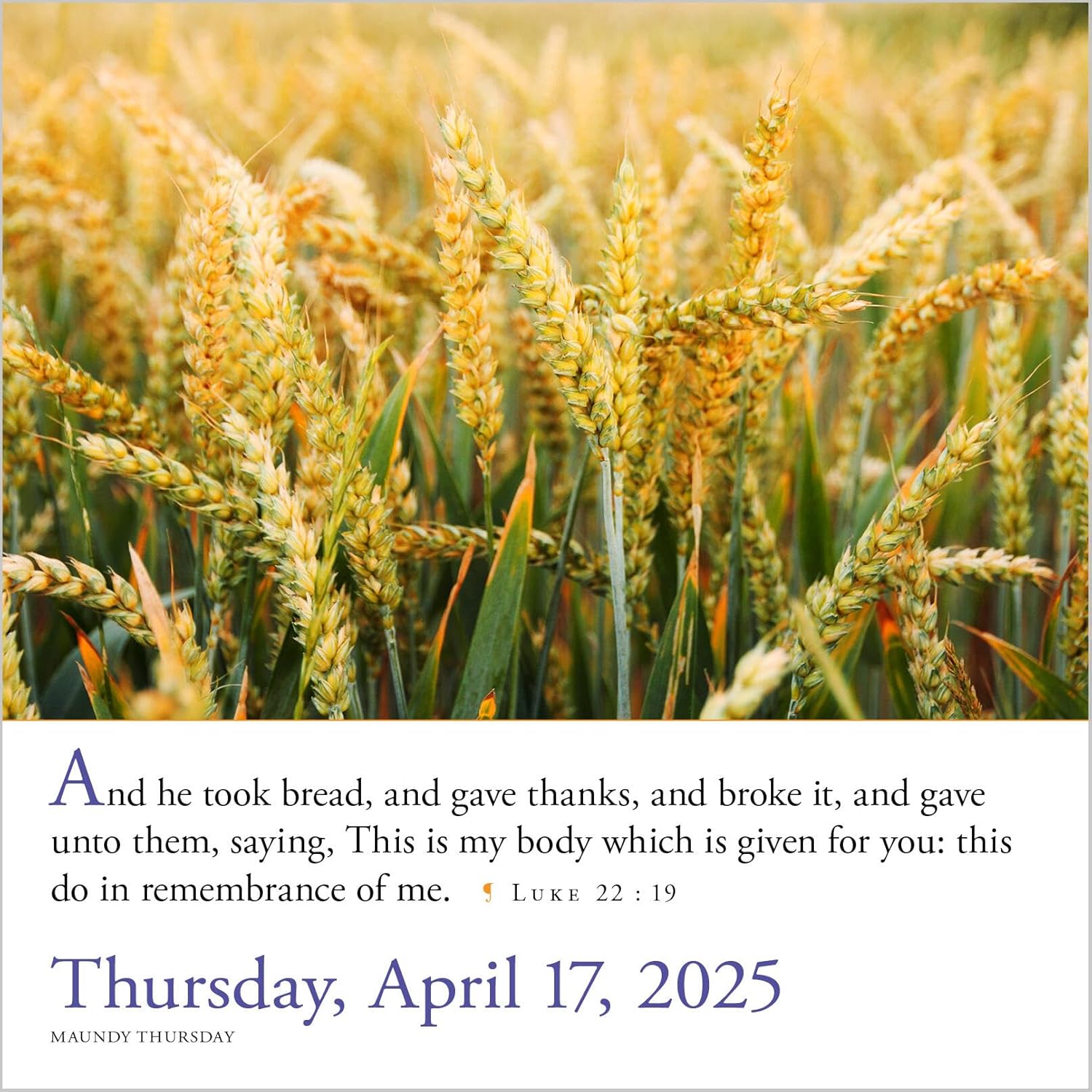 WC 2025 365 Bible Verses-A-Year