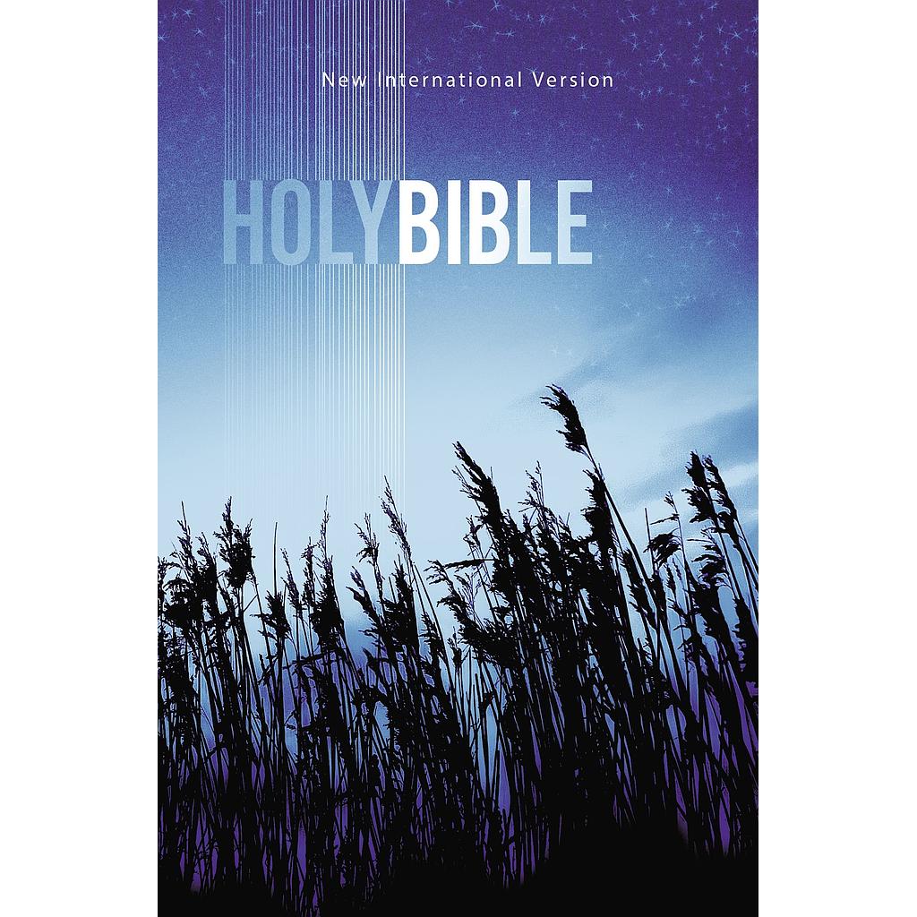 Holy Bible NIV