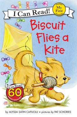 ICRMF: Biscuit flies a kite