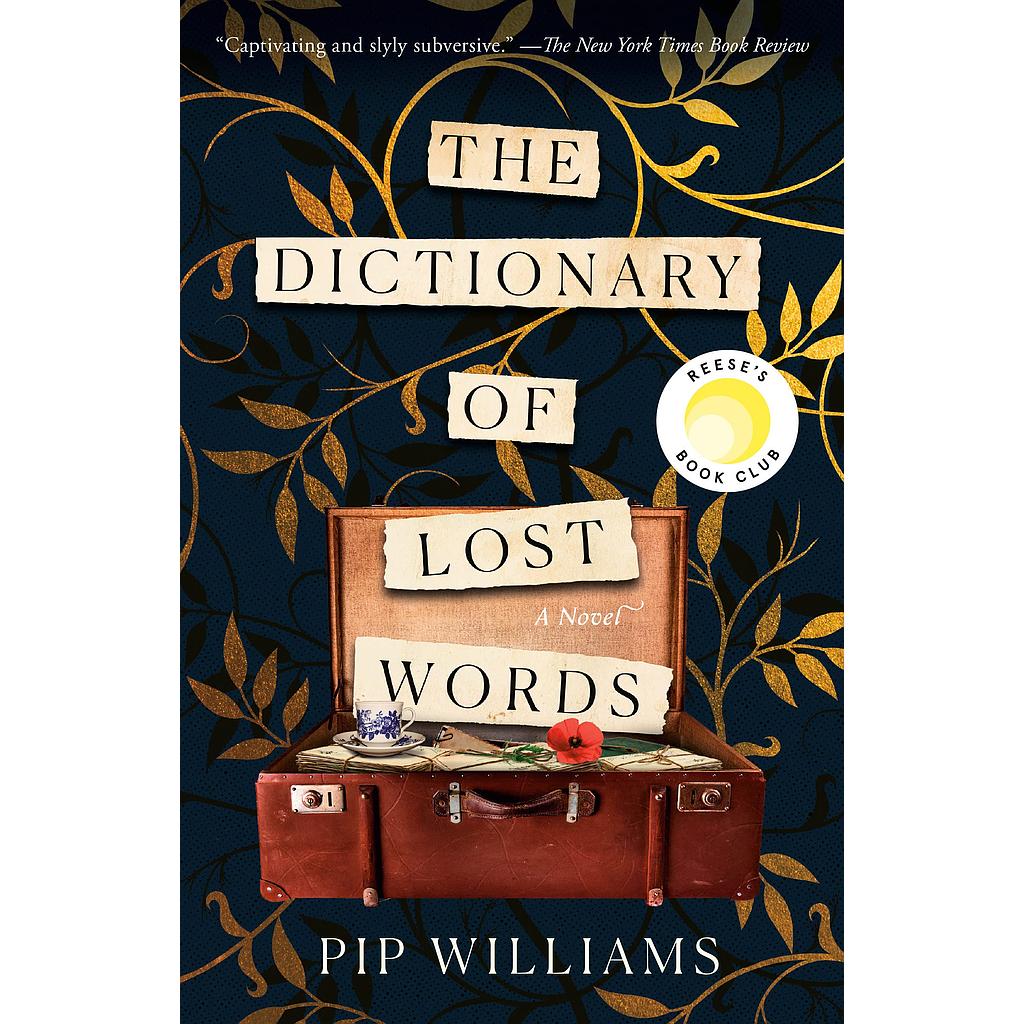 The Dictionary of Lost Words