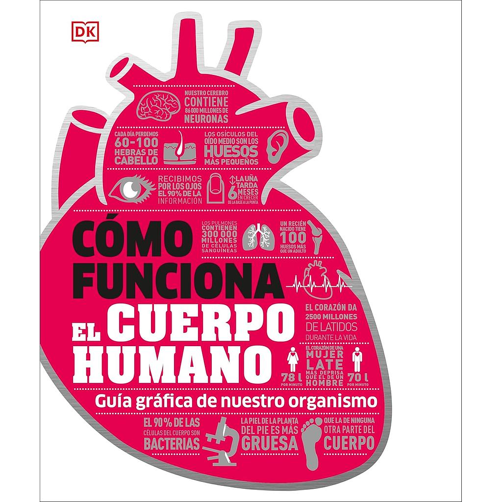 Como funciona el cuerpo humano