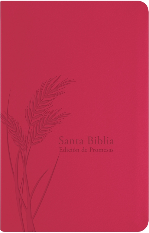 Santa Biblia de Promesas RVR 1960 fucsia