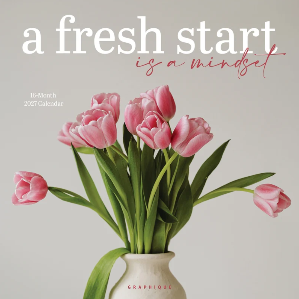 WC 2027 A Fresh Start CY34727
