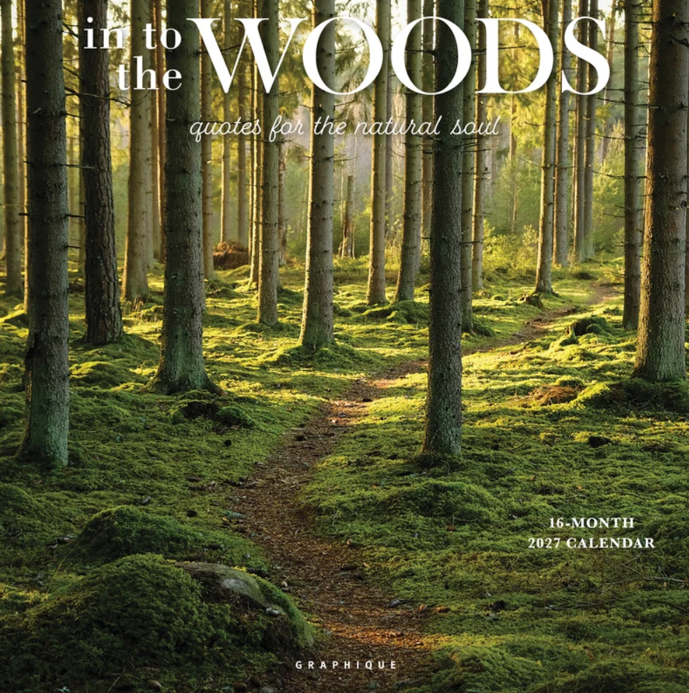 WC 2027 In to the Woods CY01027