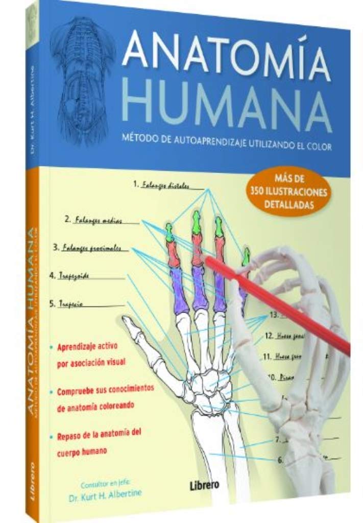 Anatomia Humana