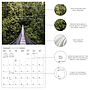 WC 2026 In to the Woods CY01026