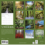 WC 2026 In to the Woods CY01026