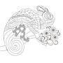 Mandalas de la naturaleza