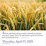 WC 2025 365 Bible Verses-A-Year