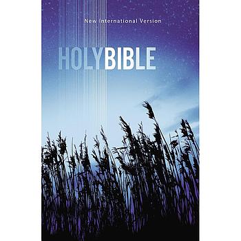 NVI Holybible 