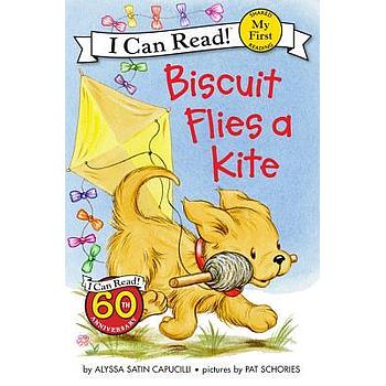 ICRMF: Biscuit flies a kite