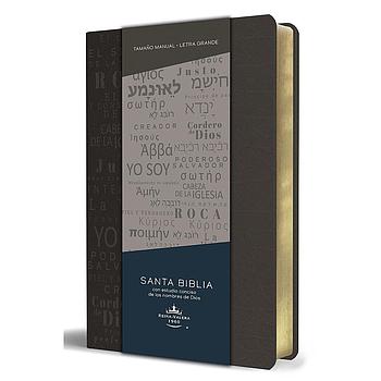 Biblia RVR 1960 letra grande piel gris