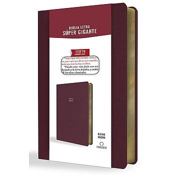 Santa Biblia RVR60 letra super gigante