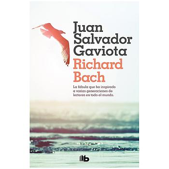 Juan Salvador Gaviota