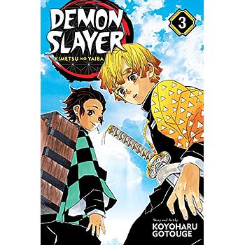 Demon Slayer Vol. 3
