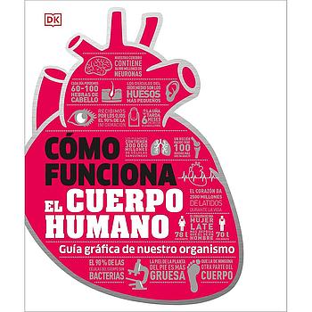 Como funciona el cuerpo humano