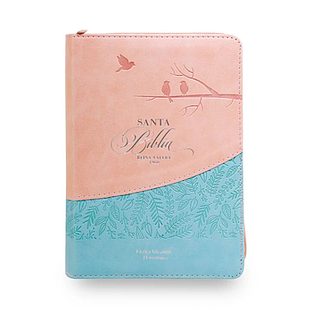 Biblia RVR60 tamaño portatil, letra grande con cierre rosa y azul