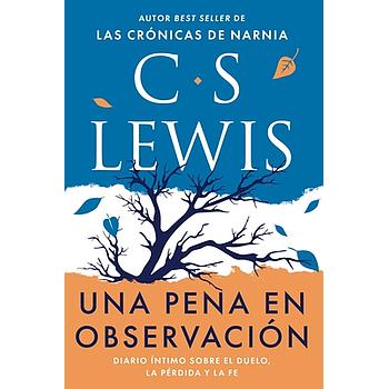 Una pena en observacion