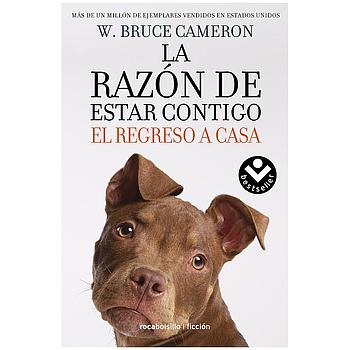 La razon de estar contigo 3: El regreso a casa