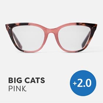 Easy Readers Big Cats Pink +2.0