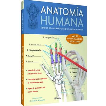 Anatomia Humana