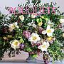 WC 2025 Garden Bouquets CY20325