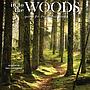 WC 2025 In to The Woods CY01025